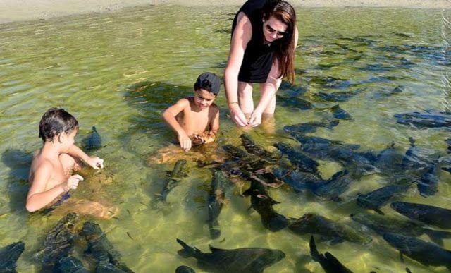 Villa Das Aguas - Praia Do Saco - Se Estancia Ngoại thất bức ảnh